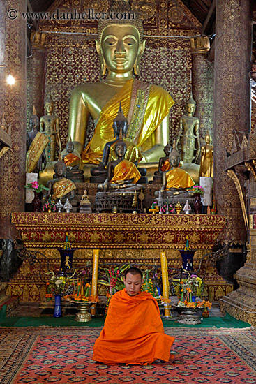 monk-sitting-by-golden-buddha-1.jpg