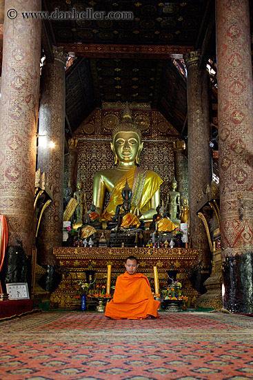 monk-sitting-by-golden-buddha-3.jpg