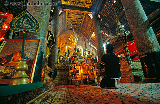 praying-at-golden-buddha.jpg