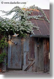 images/Asia/Laos/LuangPrabang/Misc/metal-door-n-white-flowers.jpg