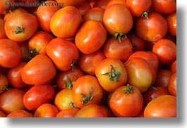 images/Asia/Laos/LuangPrabang/Misc/tomatoes.jpg