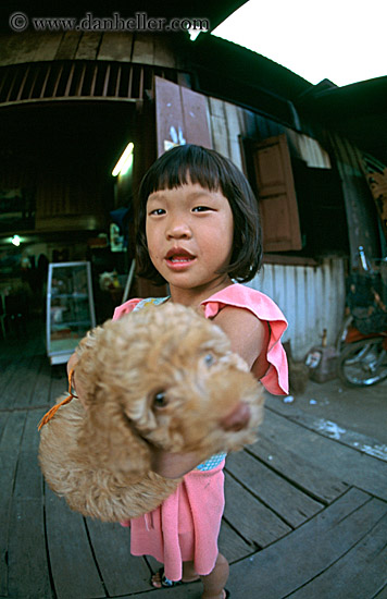 girl-n-poodle-puppy.jpg