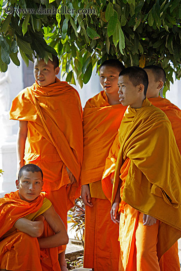 monks-under-tree.jpg