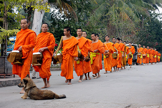 dog-n-monks-02.jpg