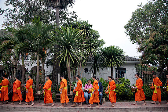 monk-procession-13.jpg