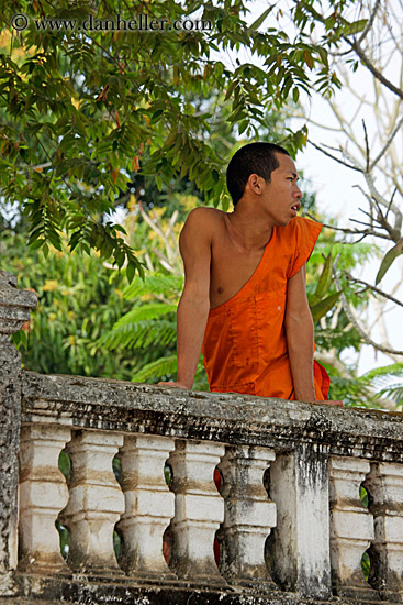 monk-gazing-off-on-balcony.jpg