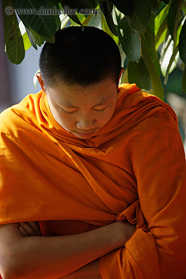 monk-under-tree-2.jpg