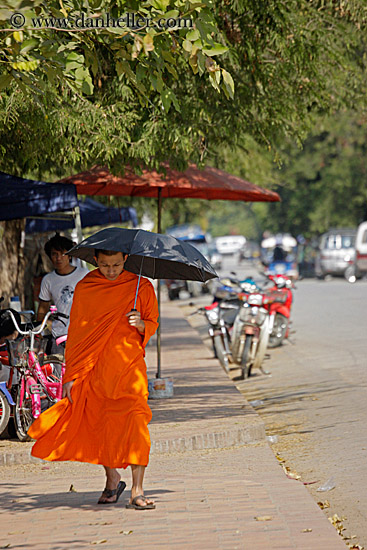 monk-walking-w-umbrella-1.jpg