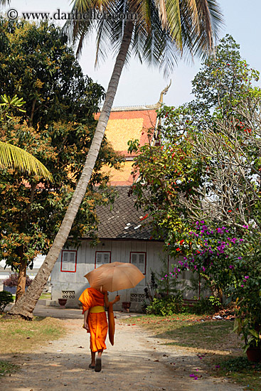 monk-walking-w-umbrella-2.jpg