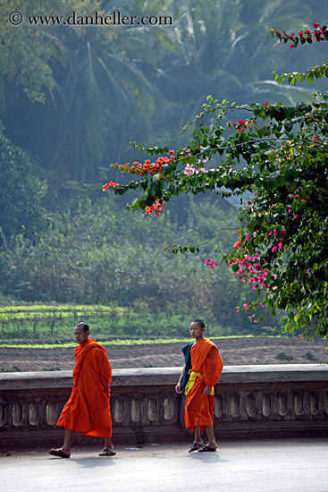 two-monks-walking-under-bougainvillea.jpg