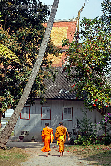 two-monks-walking-under-palm_tree.jpg