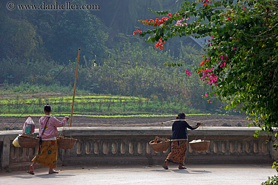 woman-carrying-don_ganh-01.jpg