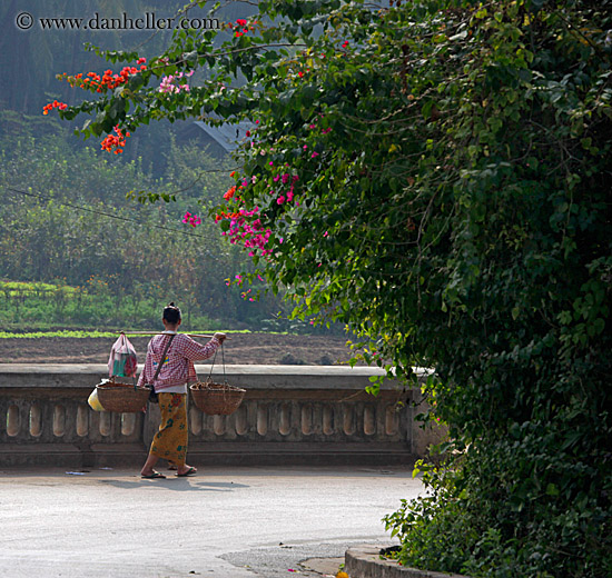 woman-carrying-don_ganh-02.jpg