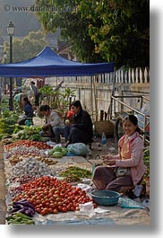 images/Asia/Laos/LuangPrabang/People/Women/SellingFood/women-selling-produce-in-market-11.jpg