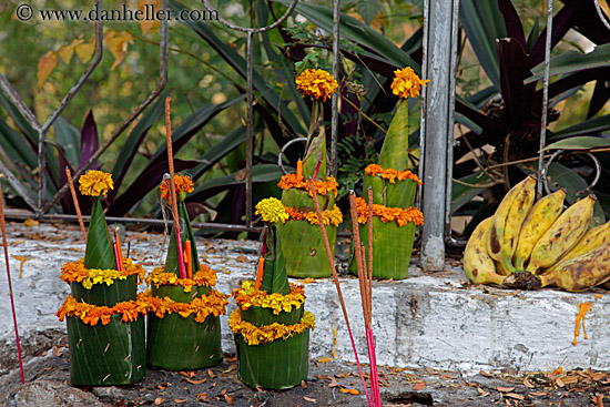 flowery-ornaments.jpg