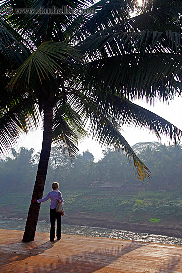 palm_tree-n-sun-n-woman.jpg