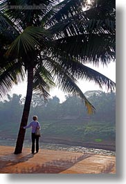 images/Asia/Laos/LuangPrabang/Plants/palm_tree-n-sun-n-woman.jpg
