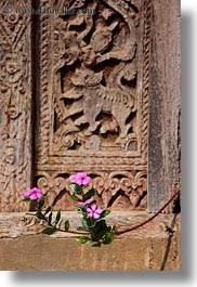 images/Asia/Laos/LuangPrabang/Plants/pink-flower-n-wood-door-2.jpg