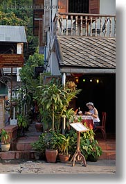 images/Asia/Laos/LuangPrabang/Plants/plant-n-cafe.jpg
