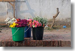 images/Asia/Laos/LuangPrabang/Plants/plants-in-buckets.jpg