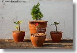 images/Asia/Laos/LuangPrabang/Plants/potted-plants.jpg