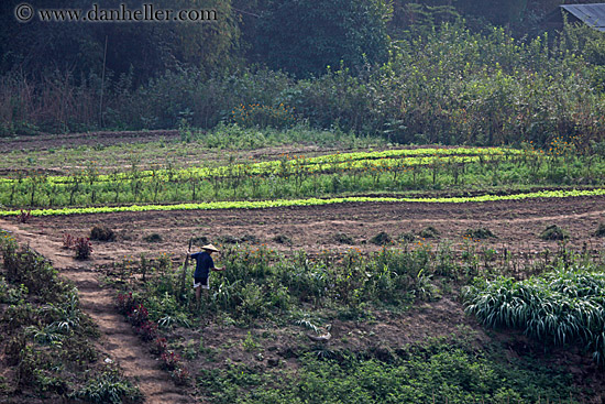 agricultural-field-workers-3.jpg