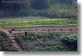 images/Asia/Laos/LuangPrabang/Scenics/Jungle/agricultural-field-workers-3.jpg