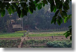 images/Asia/Laos/LuangPrabang/Scenics/Jungle/agricultural-field-workers-4.jpg