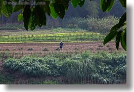 images/Asia/Laos/LuangPrabang/Scenics/Jungle/agricultural-field-workers-5.jpg