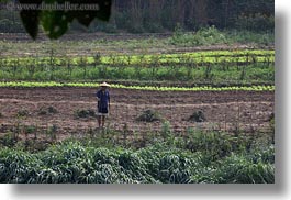 images/Asia/Laos/LuangPrabang/Scenics/Jungle/agricultural-field-workers-6.jpg