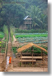 images/Asia/Laos/LuangPrabang/Scenics/Jungle/monks-on-path-by-thatched-roof-hut-2.jpg