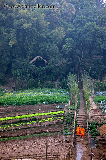 monks-on-path-by-thatched-roof-hut-4.jpg