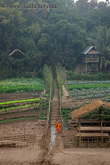 monks-on-path-by-thatched-roof-hut-5.jpg