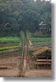 images/Asia/Laos/LuangPrabang/Scenics/Jungle/monks-on-path-by-thatched-roof-hut-5.jpg