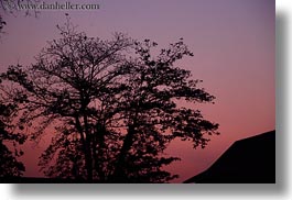 images/Asia/Laos/LuangPrabang/Scenics/Jungle/sunset-tree.jpg