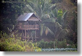 images/Asia/Laos/LuangPrabang/Scenics/Jungle/thatched-roof-hut-2.jpg