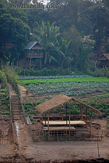 thatched-roof-hut-4.jpg