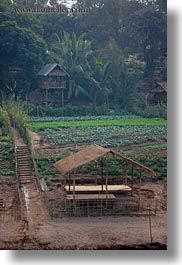 images/Asia/Laos/LuangPrabang/Scenics/Jungle/thatched-roof-hut-4.jpg