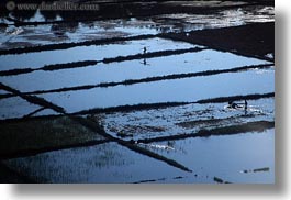 images/Asia/Laos/LuangPrabang/Scenics/River/farmers-in-flooded-rice-field.jpg