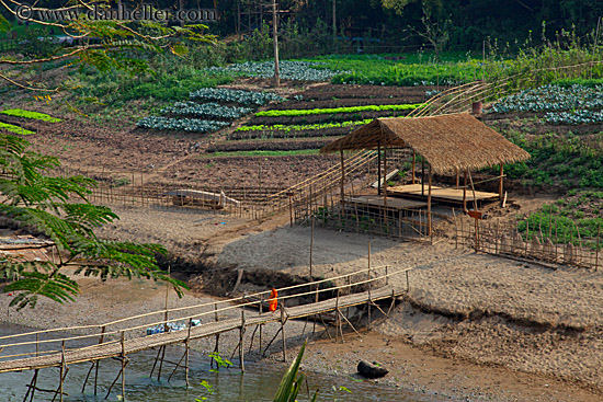 monks-crossing-bamboo-bridge-6.jpg