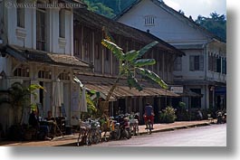 images/Asia/Laos/LuangPrabang/Transportation/Bikes/bicycles-n-palm_tree.jpg