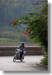 images/Asia/Laos/LuangPrabang/Transportation/Bikes/motorcycle-curve-bougainvillea-2.jpg