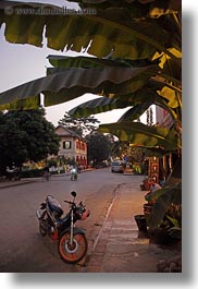images/Asia/Laos/LuangPrabang/Transportation/Bikes/motorcycle-under-palm_tree-at-dusk.jpg