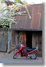 images/Asia/Laos/LuangPrabang/Transportation/Bikes/red-motorcycle-w-white-flowers.jpg