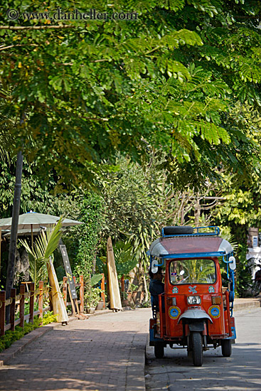 tuk_tuk-under-trees-1.jpg