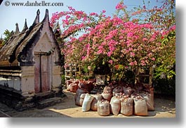 images/Asia/Laos/LuangPrabang/WatChoumkhong/pink-bougainvillea-n-temple-1.jpg