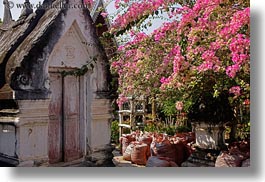 images/Asia/Laos/LuangPrabang/WatChoumkhong/pink-bougainvillea-n-temple-2.jpg
