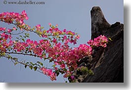images/Asia/Laos/LuangPrabang/WatChoumkhong/pink-bougainvillea-n-temple-5.jpg
