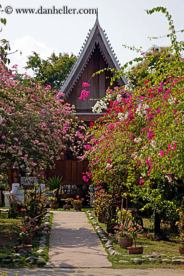 red-n-purple-bougainvillea-n-temple.jpg