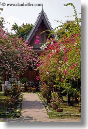 images/Asia/Laos/LuangPrabang/WatChoumkhong/red-n-purple-bougainvillea-n-temple.jpg